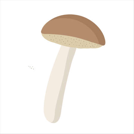 A white mushroom with a brown cap for use in the clipart dietのイラスト素材