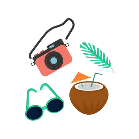 Set of camera, glasses, coconut and palm branchのイラスト素材