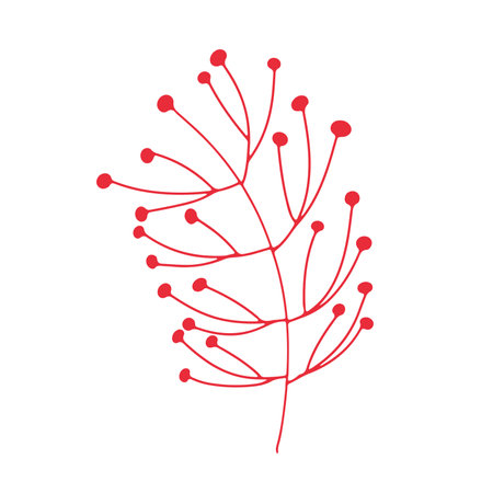 Split branch with berries on white backgroundのイラスト素材
