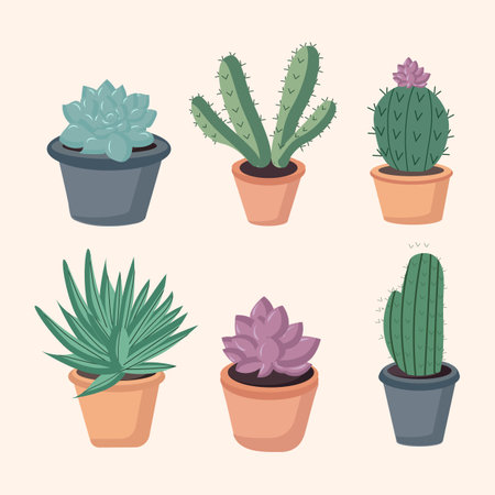 Succulents in a pot on a beige backgroundのイラスト素材