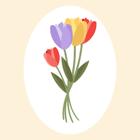A simple illustration of a bunch of tulips in red, yellow and purple against a cream and white background.のイラスト素材