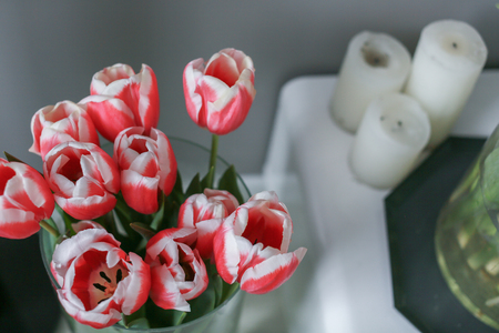 Tulip with candle is very romanticの写真素材
