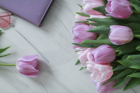 Pale pink compositionの写真素材