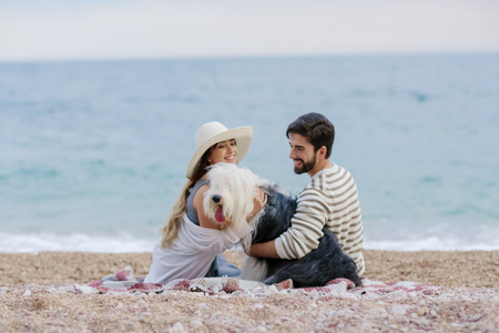 Alternative family with one lady a man and a dog together at the beach enjoying a picnic in friendship and partenership. Having fun in outdoor leisure activity together with love for animalの写真素材