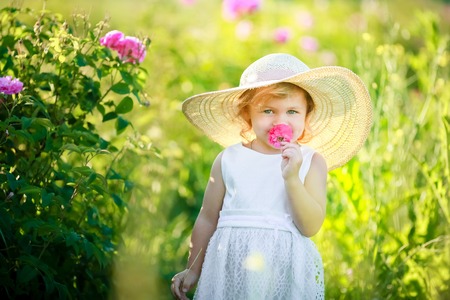 Cute girl wearing hat and white dress stand in the pink flower field of Sunn Hemp Crotalaria Juncea.の写真素材