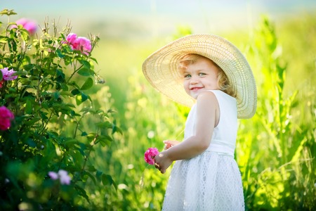 Cute girl wearing hat and white dress stand in the pink flower field of Sunn Hemp Crotalaria Juncea.の写真素材