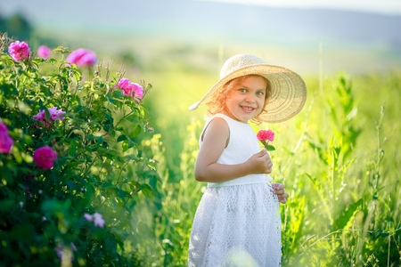 Cute girl wearing hat and white dress stand in the pink flower field of Sunn Hemp Crotalaria Juncea.の写真素材