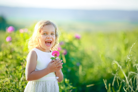 Cute girl wearing hat and white dress stand in the pink flower field of Sunn Hemp Crotalaria Juncea.の写真素材