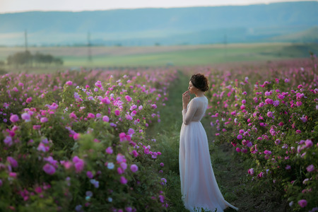Long wedding dress, beautiful hairstyle and a field of flowersの写真素材