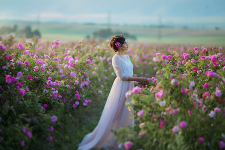 Long wedding dress, beautiful hairstyle and a field of flowersの写真素材