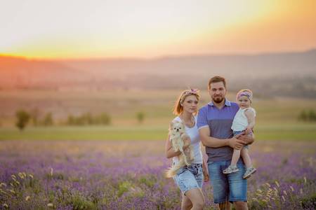 Little girls with dog and falily playing in lavender field.の写真素材