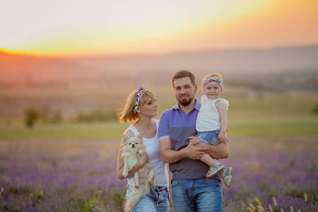 Little girls with dog and falily playing in lavender field.の写真素材