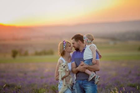 Little girls with dog and falily playing in lavender field.の写真素材