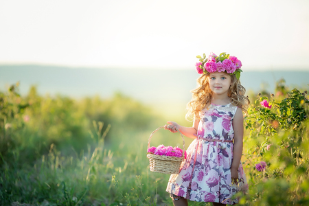 A little girl with beautiful long blond hair, dressed in a light dress and a wreath of real flowers on her head, in the garden of a tea rose.の写真素材