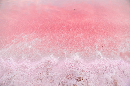 Brine and salt of a pink lake, colored by microalgae Dunaliella salina, famous for its antioxidant properties, enriching water by beta-carotene, used in medicine, dermatology and spa.の写真素材