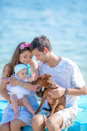 young stylish hipster couple in love walking playing dog in tropical beach, white sand, cool outfit, romantic mood, having fun, sunny, man woman together horizontal, vacation.の写真素材