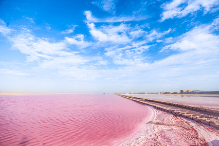 A Dunaliella salina, famous for its antioxidant properties, enriching water by beta-carotene, used...
