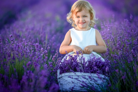Cute curly young girl standing on a lavender field in white dressの写真素材