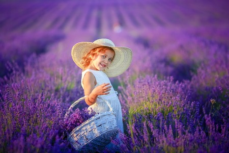 Five years girls stand in lavender field dressed in white dress and hat. Cute face and gold hair holding lavender bouquet and smilingの写真素材