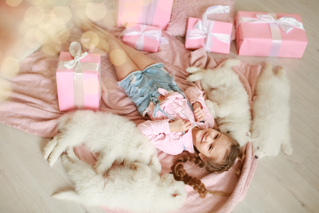 Little girl with white puppies and gift boxes.の写真素材