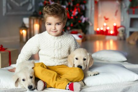 Cute baby with a white golden labrador on the background of Christmas decorations.の写真素材