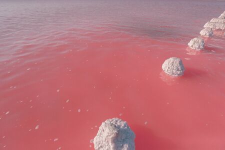Wooden pillars of the destroyed bridge stick out of the natural red water in the place of salt...