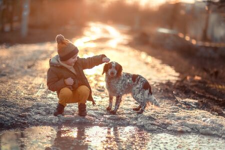 A boy with a dog on the street near a puddle during sunset.の写真素材