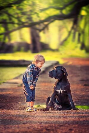 A child with a dog walks in the forest in autumn.の写真素材