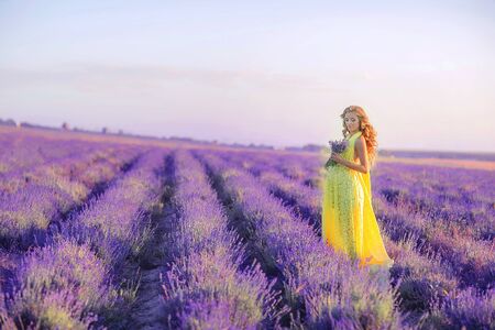 Woman with a bouquet in a field of young lavender on a spring day.の写真素材