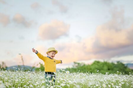 The child is happy and smiling once in the meadow with flowers.の写真素材