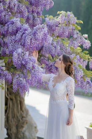 Wedding photo of a woman standing under a tree and touching a branch with her hands.の写真素材