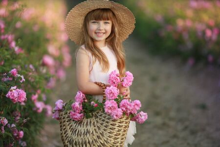 Set in a natural wild field with roses girl 6 years old collects a bouquet of roses.の写真素材