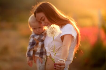 Mother and son in the sunset yellow in a natural field.の写真素材
