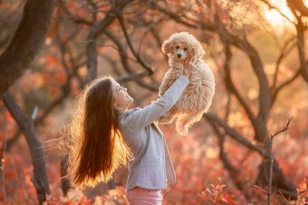 Girl on a walk with a pet in a public Park in the fall.の写真素材