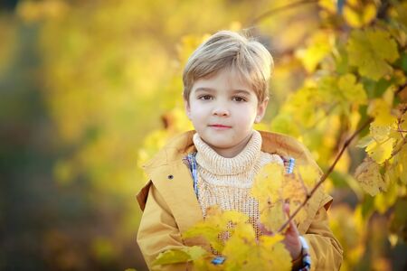 Portrait of a preschool boy playing near a tree with yellow leaves.