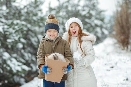 A boy and a girl brother and sister of preschool age walk in winter in a snow covered forest with trees.の写真素材