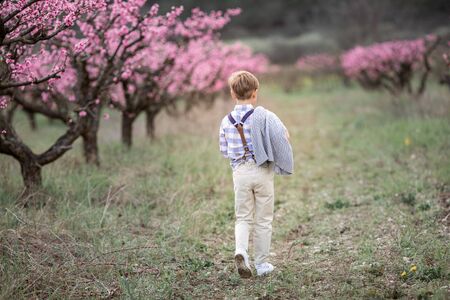 A boy walks through a natural park with trees. Child 6-7 years in pants and shirt holding a twig with fruit flowersの写真素材