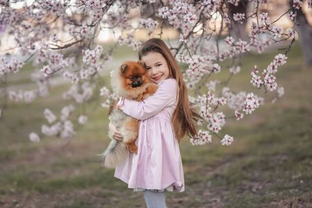 A dog in the arms of a little girl in a pink dress on a walk in the meadowの写真素材