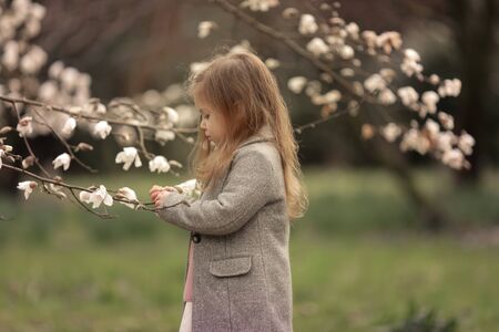 A girl stands in a park and looks at the branches of blossoming trees.の写真素材