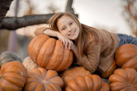 A girl lies on a trolley with ripe pumpkinsの写真素材