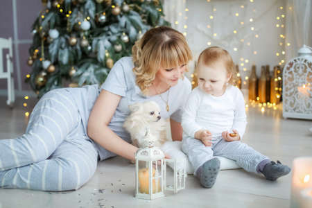 Family photo of mother and daughter at home in bright colors on Christmas dayの写真素材