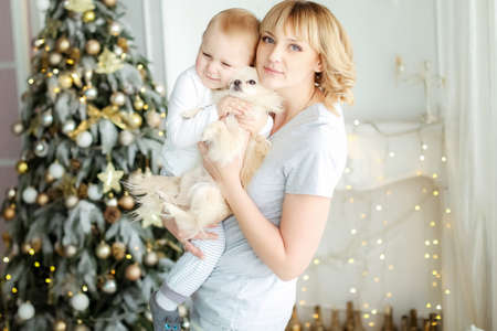 Family photo of mother and daughter at home in bright colors on Christmas dayの写真素材