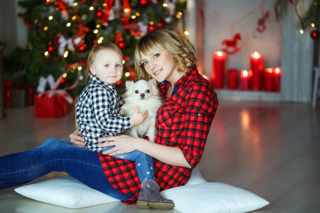 Family of two people mother and on new years eve near the decorated Christmas tree sitting on the floor with a small petの写真素材