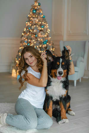 An adult woman in warm knitted socks and pajamas plays Christmas eve with her pet in a room on the floorの写真素材