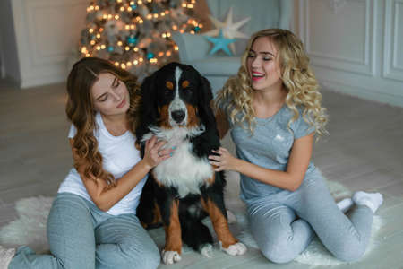 Two women on new years eve play with a pet a large purebred dogの写真素材