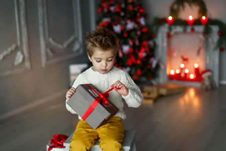 Cute baby with a white golden labrador on the background of Christmas decorationsの写真素材