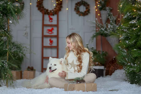 New Year concept. girl with her pet posing in a photo studioの写真素材
