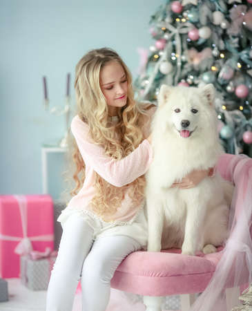 A curly-haired blonde with a best and faithful friend a purebred dog poses in a New Years decorated studioの写真素材