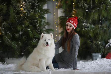 A young girl with a dog near the Christmas treeの写真素材