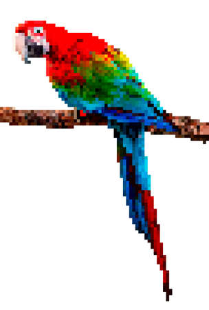 Pixel art parrot vector illustration. Colorful bird pixel illustration.のイラスト素材